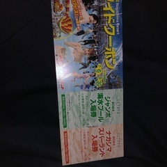 【有効期限有】【1名】ナガシマスパーランドチケットの画像