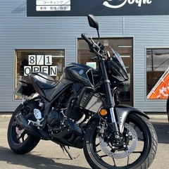 YAMAHA MT-25 カスタムあり