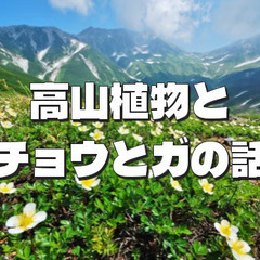 研究者による講演と科学博物館の展示を楽しもう！忠犬ハチ公の剥製も...
