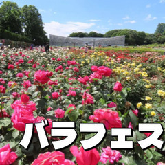 神代植物公園の秋バラコレクションを鑑賞！世界バラ会連合優秀庭園賞...
