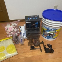 海水魚飼育セット★天然サンゴ