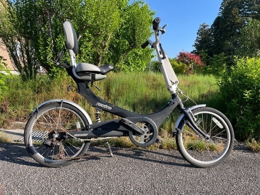 今週お取引価格　レア　ジャイアント