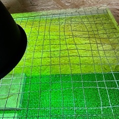 爬虫類用木製ケージ②の画像