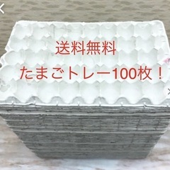 使い方いろいろ！たまご紙トレー100枚！