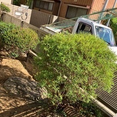 お庭の手入れお任せください^_^ - 地元のお店