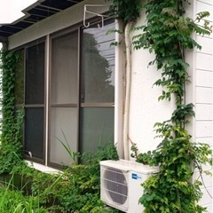 お庭の手入れお任せください^_^ - 剪定/造園