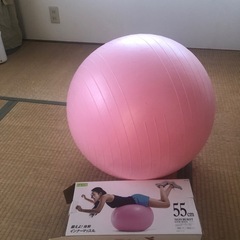バランスボール　５５センチ