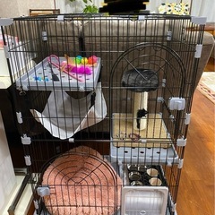 猫　ケージの画像