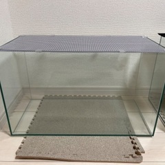 ハムスター　GEXガラス水槽