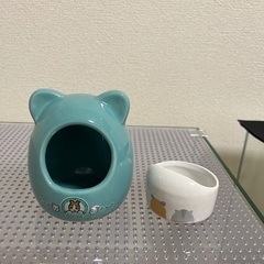 ハムスター　GEXガラス水槽の画像