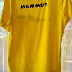 マムート MAMMUT キューディーロゴプリントティシャツの画像