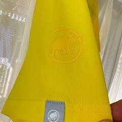 マムート MAMMUT キューディーロゴプリントティシャツの画像