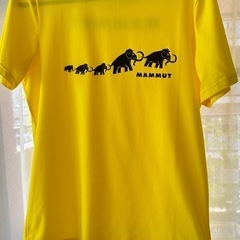マムート MAMMUT キューディーロゴプリントティシャツ