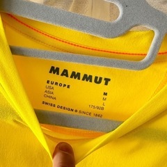 マムート MAMMUT キューディーロゴプリントティシャツの画像