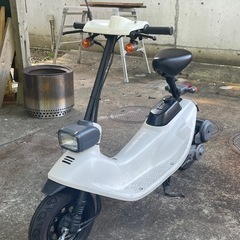 原付 ホンダ ズーク zookの画像