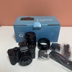 LUMIX G100D Wキット DC-G100DW-K 
