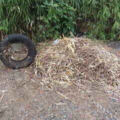 駐車場にある雑草を持って行って下さい。