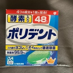新品未使用　タフグリップ大サイズとポリデント48錠　セットの画像