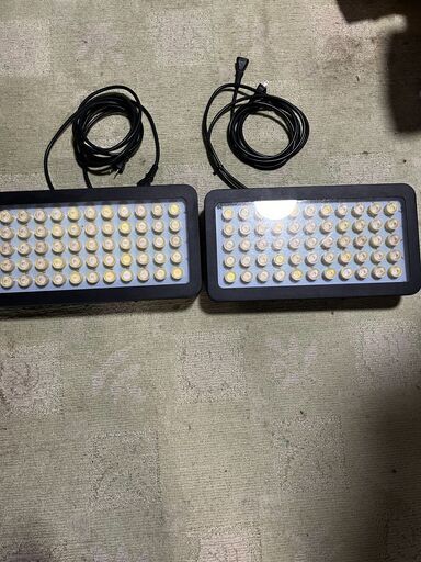 海水魚、サンゴにブラックライト2台セット