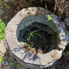 石の水盤さしあげますの画像