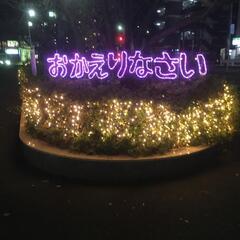 サーバー構築研修