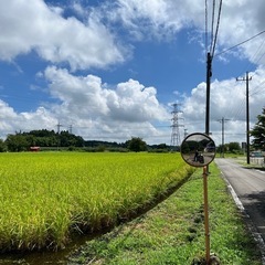 調布・三鷹エリア　ツーリング仲間募集 - 友達