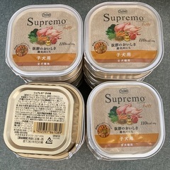 パピー用ドッグフードの画像