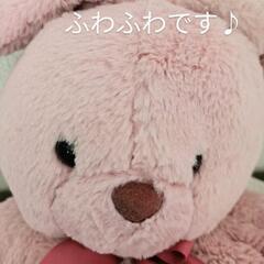 ぬいぐるみリュックサックの画像