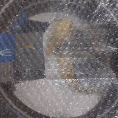 DAHON(ダホン) k3の画像