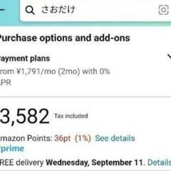 【引越 -9/15】【定価3,600円】1年半使用 パール金属 ステンレス 竿竹 2.8-4.0m 伸縮可能 2本の画像
