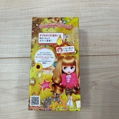 取引中！フレッシュライト　ハードブリーチの画像