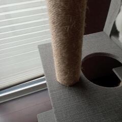 キャットタワーの画像