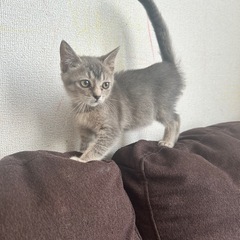 受付終了