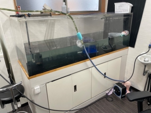 最終出品　1800×600×600  オーバーフロー　大型水槽　フルセット