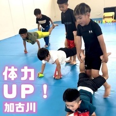 ☀️生徒募集中☀️キッズ格闘技☀️の画像