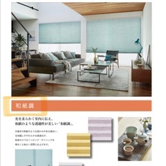 タチカワ プリーツスクリーン ペルレの画像