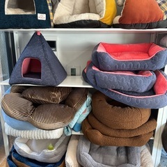 ペット用品の再開の画像