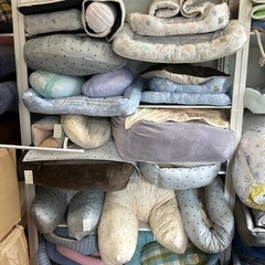 ペット用品の再開の画像