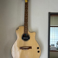 エレアコギター