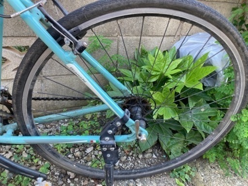 《訳あり品》ビアンキ（Bianchi)ローマ(Roma)2