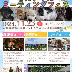 入場無料　わんにゃんミーティングフェス☆合同譲渡会+物販+音楽フ...