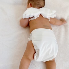 スリコ　フォト用エンジェルの羽の画像