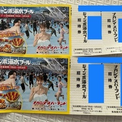 ナガシマスパーランド    ジャンボ海水プール　チケット　　大人2枚分