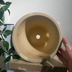 レア！ウィリアムモリス　鉢の画像