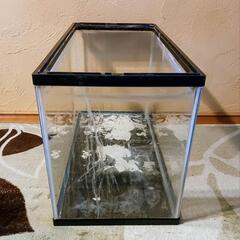水槽 60×30×36cm 蛍光灯付きの画像