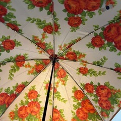 新品‼️　折りたたみ傘　花柄の画像