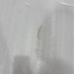 【無料】大判 緩衝材 プチプチ 大量　リサイクル　の画像