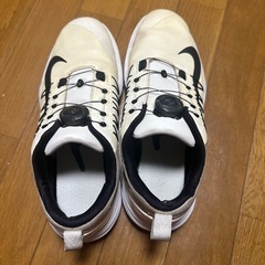 ゴルフジュース　NIKE 26センチの画像