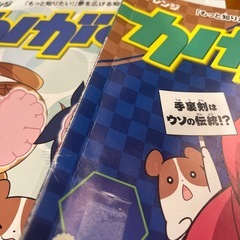 かがく組4年生　チャレンジの画像