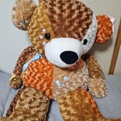 大きなテディベア　の画像